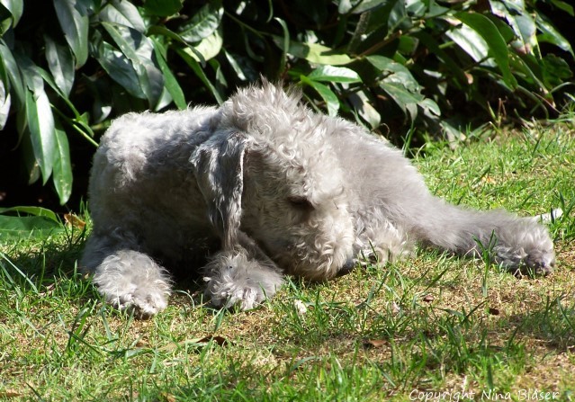 100_4571 - Kopie.jpg